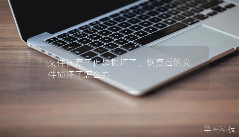 文件恢復了但是損壞了，恢復后的文件損壞了怎么辦