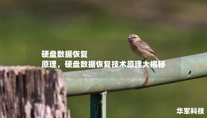 硬盤數據恢復 原理,硬盤數據恢復技術原理大揭秘 硬盤數據恢復 原理,硬盤數據恢復技術原理大揭秘