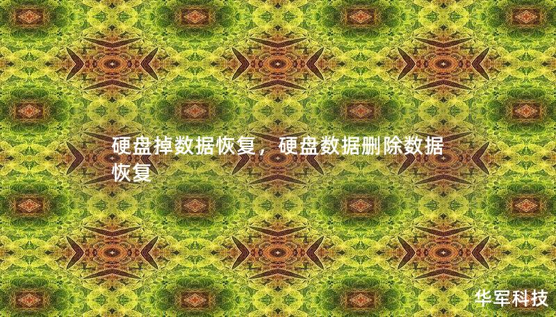 硬盤(pán)掉數(shù)據(jù)恢復(fù),硬盤(pán)數(shù)據(jù)刪除數(shù)據(jù)恢復(fù) 硬盤(pán)掉數(shù)據(jù)恢復(fù),硬盤(pán)數(shù)據(jù)刪除數(shù)據(jù)恢復(fù)