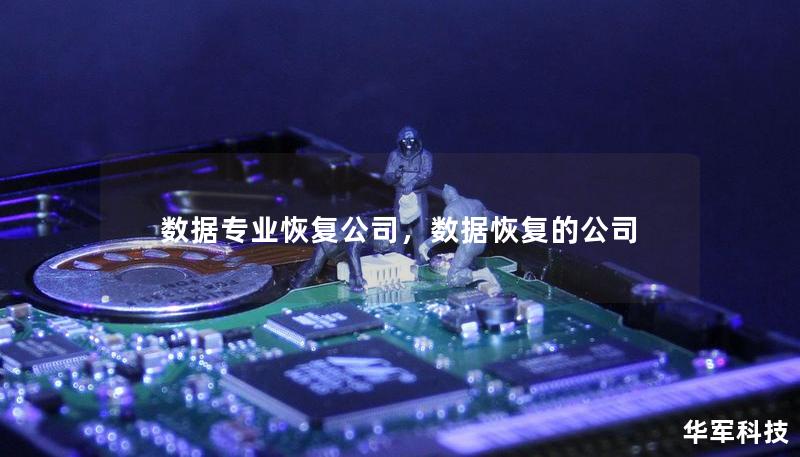 數(shù)據(jù)專業(yè)恢復公司，數(shù)據(jù)恢復的公司