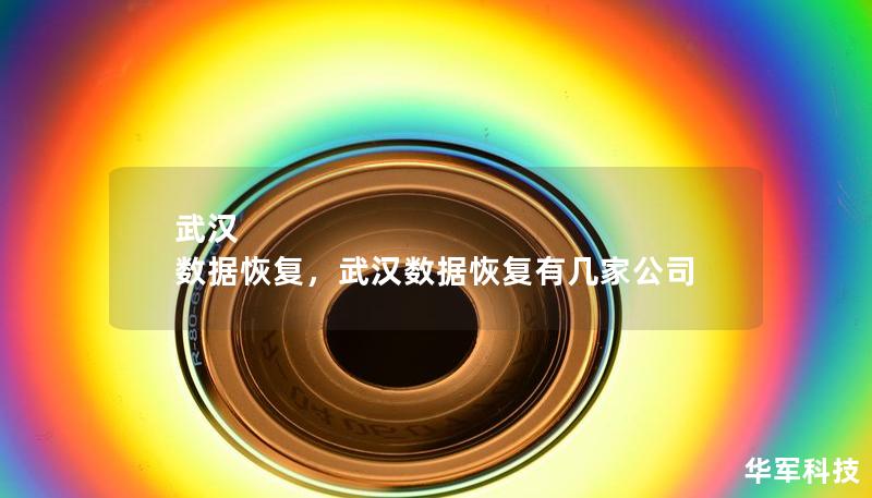 武漢 數(shù)據(jù)恢復，武漢數(shù)據(jù)恢復有幾家公司