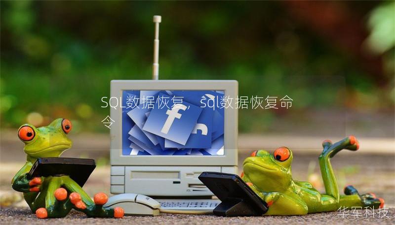 SQL數據恢復，sql數據恢復命令
