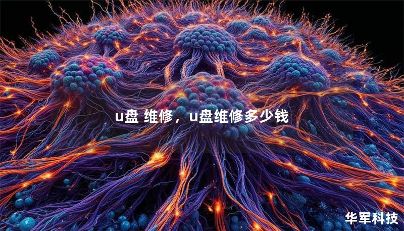 u盤 維修，u盤維修多少錢