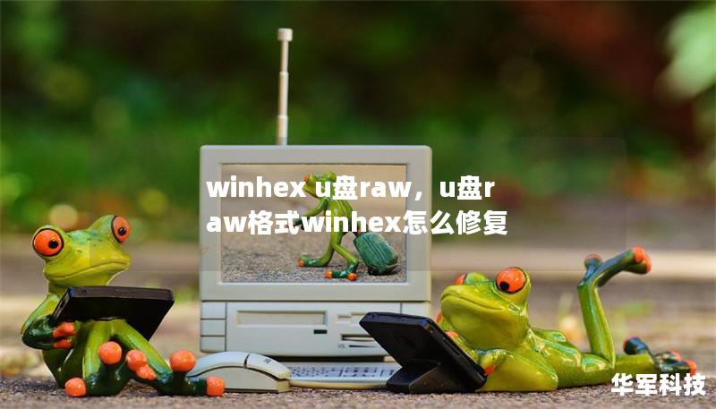winhex u盤raw，u盤raw格式winhex怎么修復