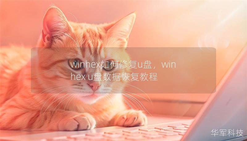 winhex如何修復u盤，winhex u盤數據恢復教程