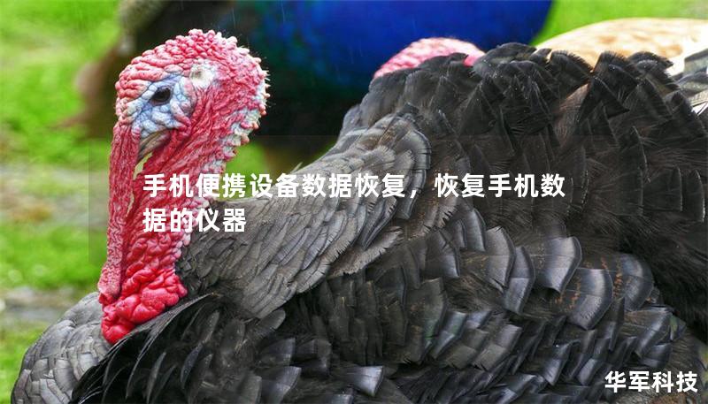 手機(jī)便攜設(shè)備數(shù)據(jù)恢復(fù)，恢復(fù)手機(jī)數(shù)據(jù)的儀器
