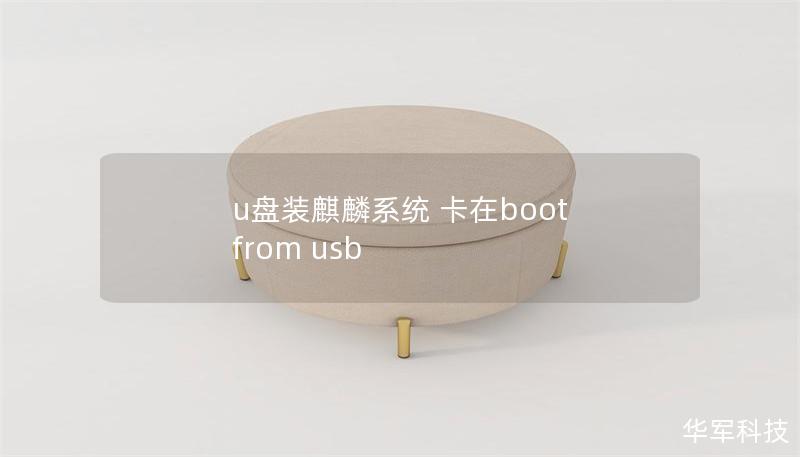 u盤裝麒麟系統 卡在boot from usb