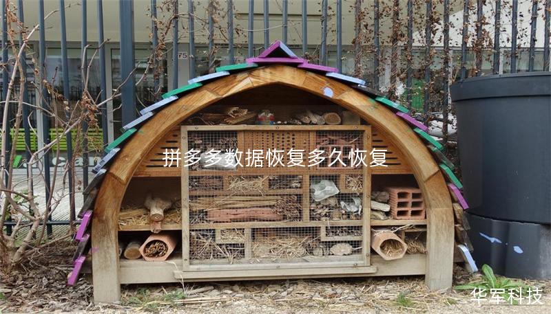 拼多多數據恢復多久恢復