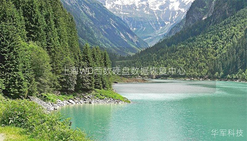 上海WD西數(shù)硬盤數(shù)據(jù)恢復(fù)中心