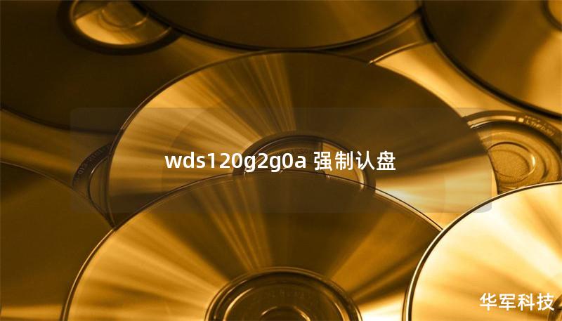 wds120g2g0a 強制認盤 wds120g2g0a 強制認盤