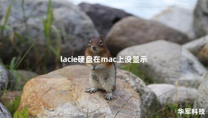 lacie硬盤在mac上沒顯示