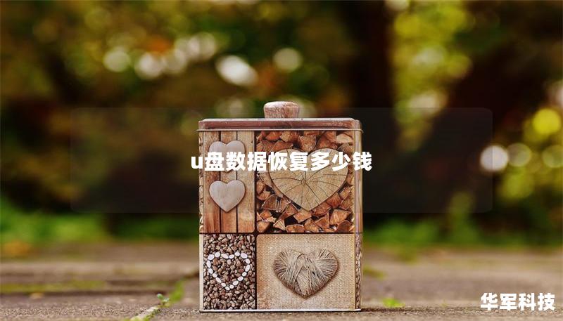 u盤數(shù)據(jù)恢復(fù)多少錢