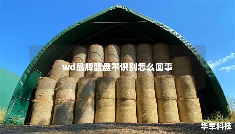 wd品牌藍(lán)盤不識別怎么回事 wd品牌藍(lán)盤不識別怎么回事