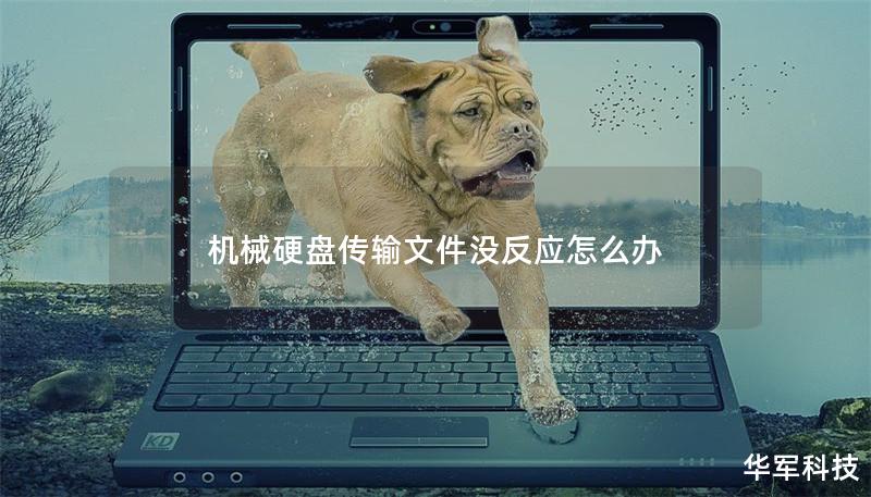 機械硬盤傳輸文件沒反應怎么辦
