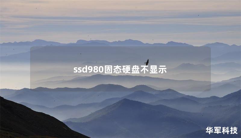 ssd980固態(tài)硬盤不顯示 ssd980固態(tài)硬盤不顯示