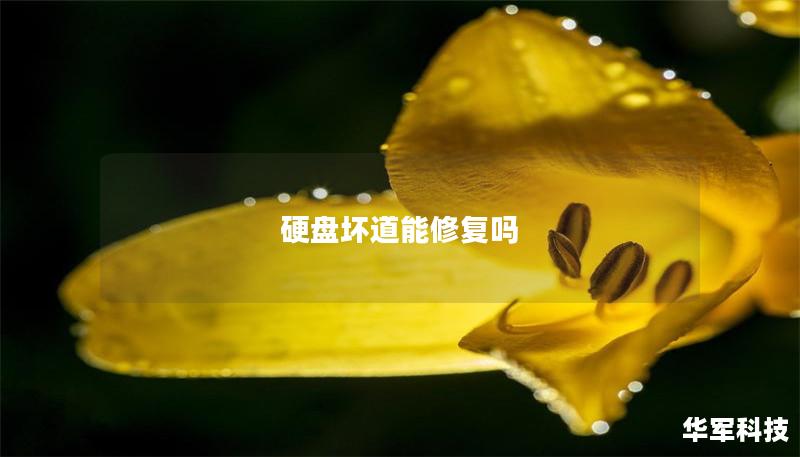 硬盤壞道能修復嗎