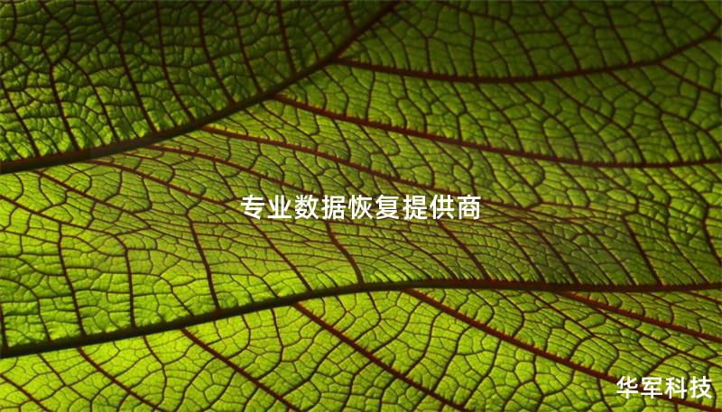 專業數據恢復提供商