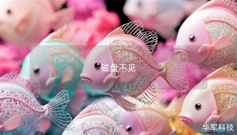 磁盤不見 磁盤不見