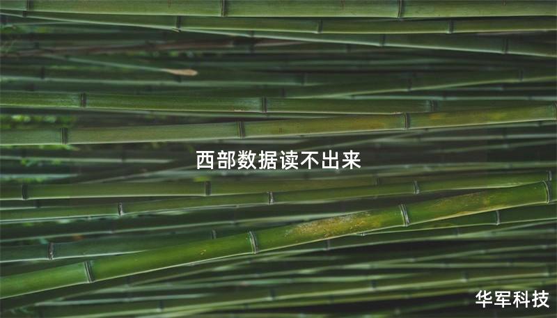 西部數據讀不出來