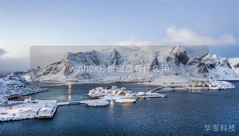 winhex分析磁盤有什么用 winhex分析磁盤有什么用
