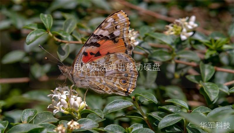 電腦無法彈出移動硬盤