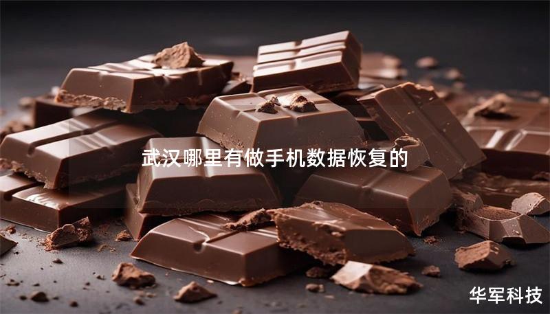 武漢哪里有做手機數(shù)據(jù)恢復(fù)的