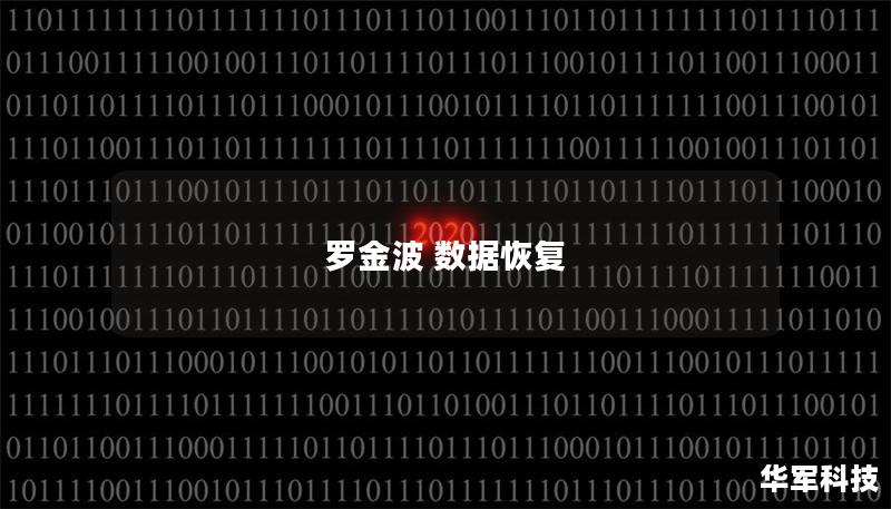 羅金波 數(shù)據(jù)恢復(fù)