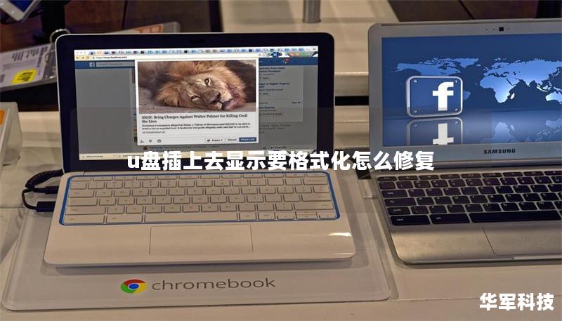 u盤插上去顯示要格式化怎么修復(fù)