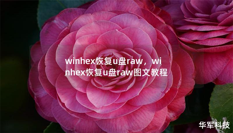 winhex恢復u盤raw，winhex恢復u盤raw圖文教程