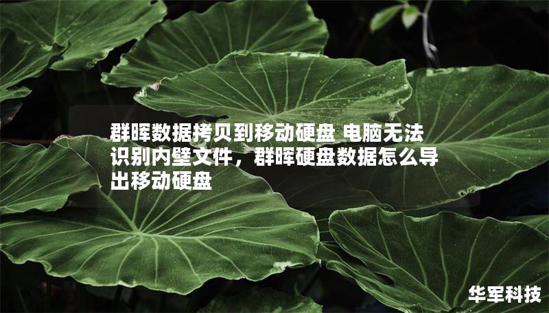 群暉數(shù)據(jù)拷貝到移動硬盤 電腦無法識別內(nèi)壁文件，群暉硬盤數(shù)據(jù)怎么導(dǎo)出移動硬盤