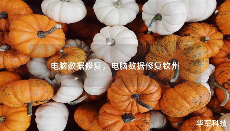 電腦數(shù)據(jù)修復(fù)，電腦數(shù)據(jù)修復(fù)欽州