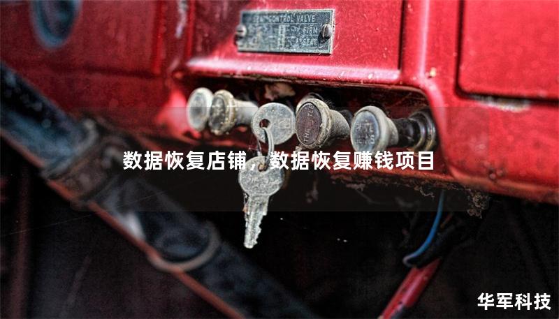 數(shù)據(jù)恢復店鋪，數(shù)據(jù)恢復賺錢項目