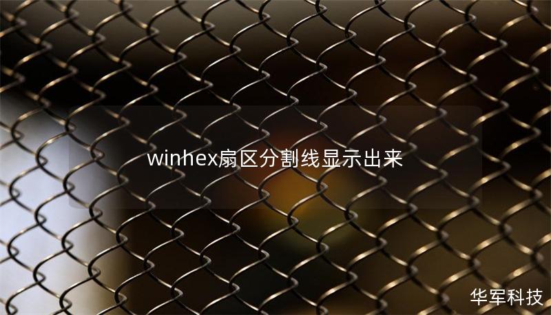 winhex扇區分割線顯示出來
