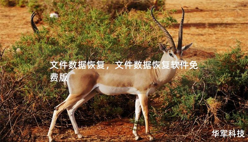 文件數據恢復，文件數據恢復軟件免費版