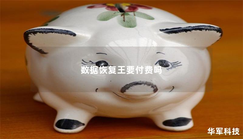 數據恢復王要付費嗎