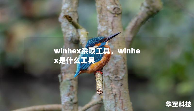 winhex雜項(xiàng)工具，winhex是什么工具