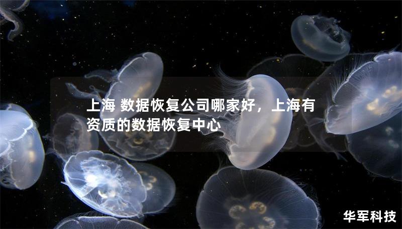 上海 數據恢復公司哪家好，上海有資質的數據恢復中心