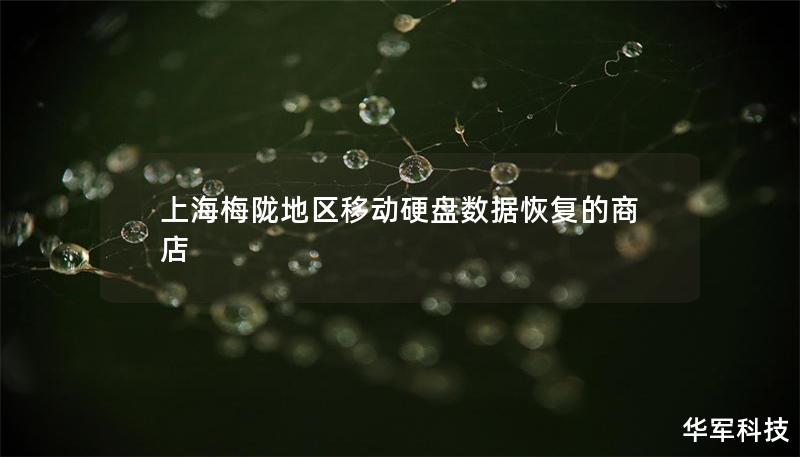 上海梅隴地區(qū)移動(dòng)硬盤(pán)數(shù)據(jù)恢復(fù)的商店