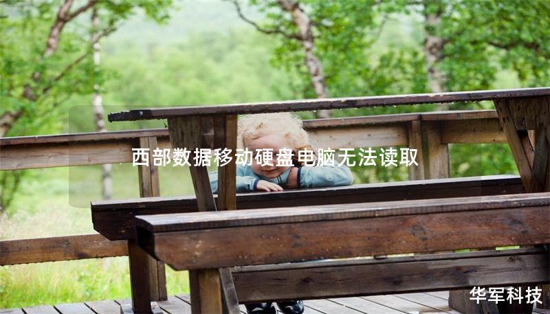 西部數據移動硬盤電腦無法讀取