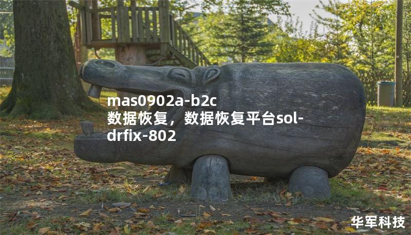 mas0902a-b2c 數(shù)據(jù)恢復(fù)，數(shù)據(jù)恢復(fù)平臺(tái)sol-drfix-802