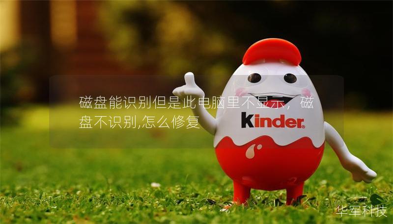 磁盤能識別但是此電腦里不顯示，磁盤不識別,怎么修復