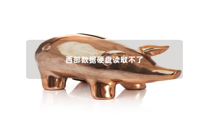 西部數據硬盤讀取不了