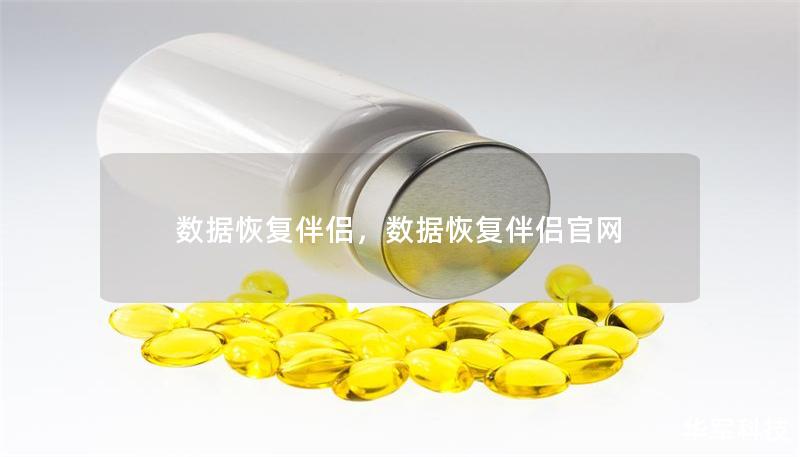 數據恢復伴侶，數據恢復伴侶官網