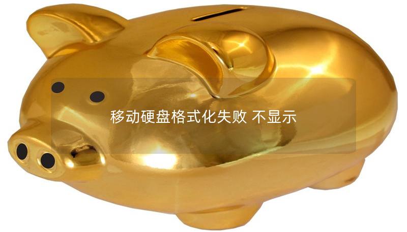 移動硬盤格式化失敗 不顯示
