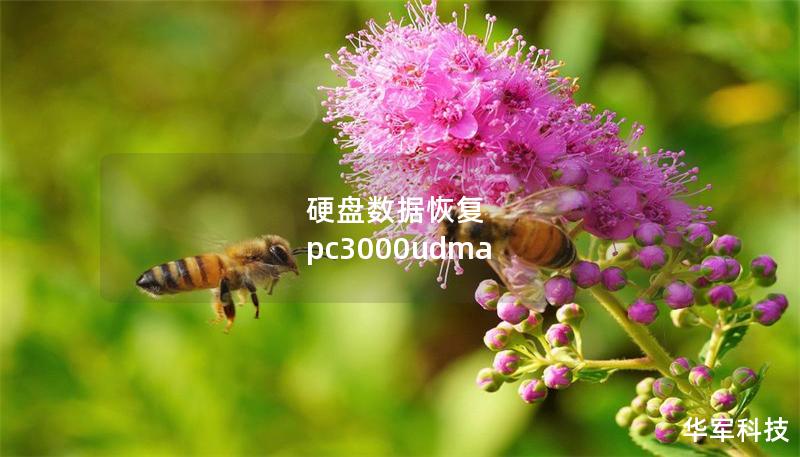硬盤數(shù)據(jù)恢復 pc3000udma