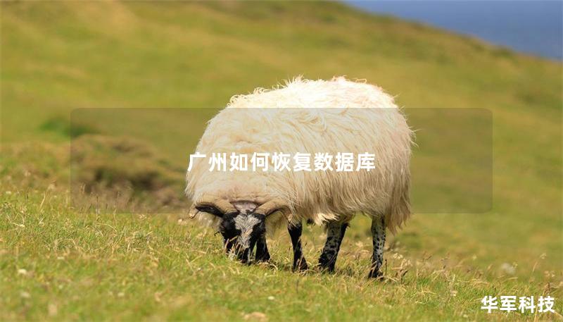 廣州如何恢復(fù)數(shù)據(jù)庫