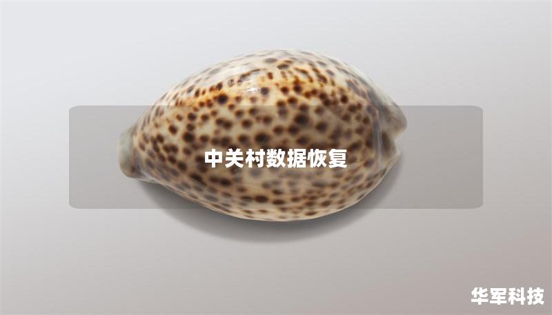 中關(guān)村數(shù)據(jù)恢復(fù)