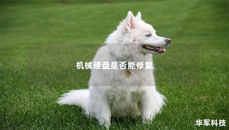 機(jī)械硬盤是否能修復(fù)