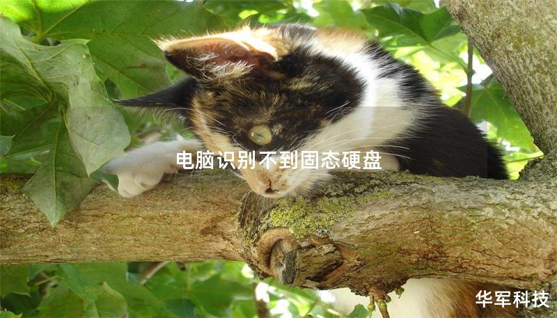 電腦識別不到固態(tài)硬盤