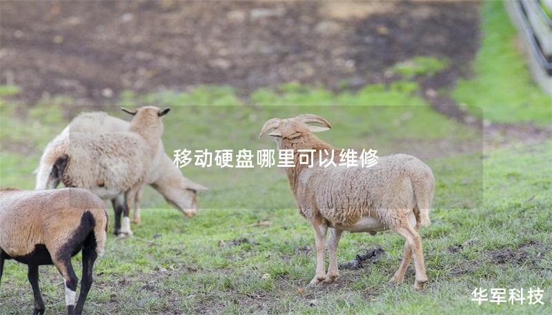 移動(dòng)硬盤(pán)哪里可以維修